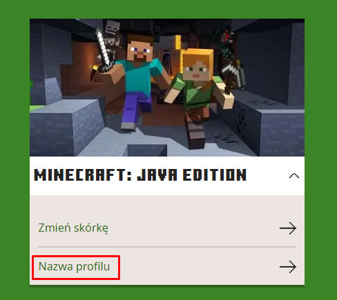 Nazwa profilu w Minecraft